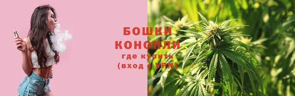 ПСИЛОЦИБИНОВЫЕ ГРИБЫ Абаза