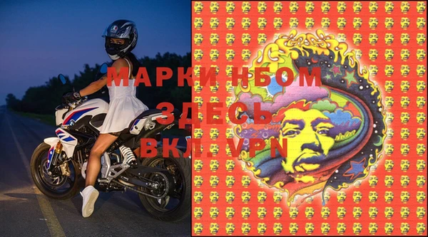 ПСИЛОЦИБИНОВЫЕ ГРИБЫ Абаза